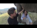 Elephant interview