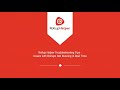 Rollup Helper Troubleshooting Tips - Issues with Rollups Not Running in Real Time