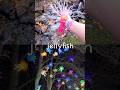 Sea Animal Names at the Waterfall for Kids to Learn: Jellyfish Octopus Cuttlefish Starfish Seahorse