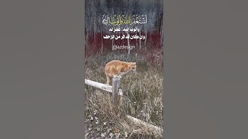 من قال استغفر الله الذي لا اله الا هو الحي القيوم #استغفر_الله #اكسبلور #تلاوة_خاشعة #اقنباسات