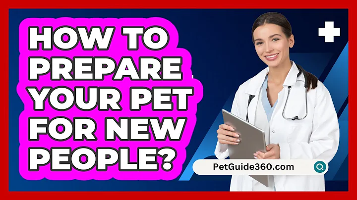How To Prepare Your Pet For New People?