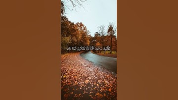 ﴿فخلف من بعدهم خلف أضاعوا الصلاة واتبعوا الشهوات﴾ 🥺 القارئ: #ياسر_الدوسري 🎤 #روائع_التلاوات 🌹 #هدوء