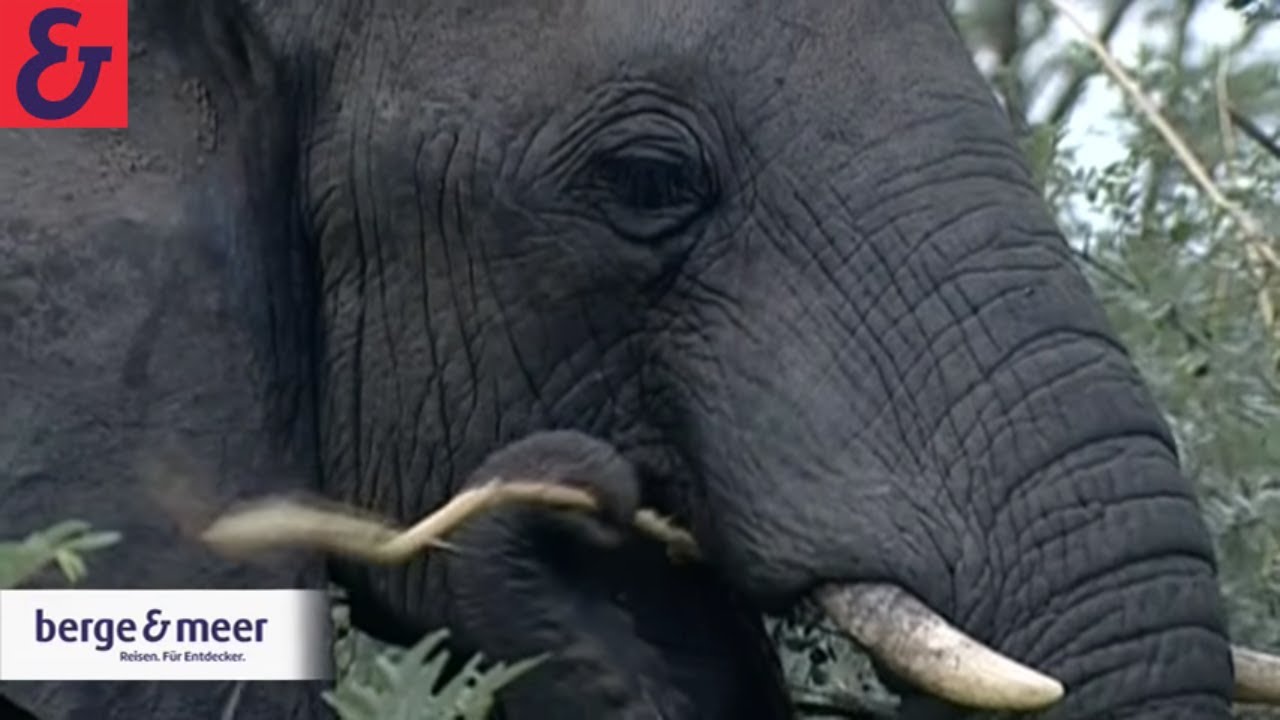 Reise Video Sudafrika Kruger Nationalpark Berge Meer Youtube