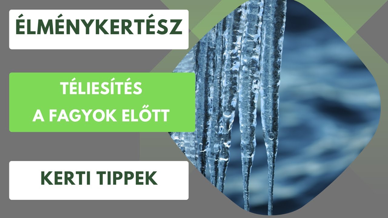 Mielőtt itt a fagy, cselekedni kell!- Téliesítés a kertben❄️