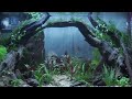 [4K]Spring Stream - Relaxing Aquatic Life | Relaxing Aquarium - &amp; Piano Music - Day 1