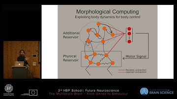 Vandesompele Alexander - A spiking neural controller