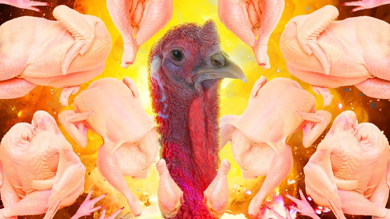 It's Not My Family's Thanksgiving if we Don't Destroy a Turkey Bird