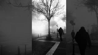 Another dull day