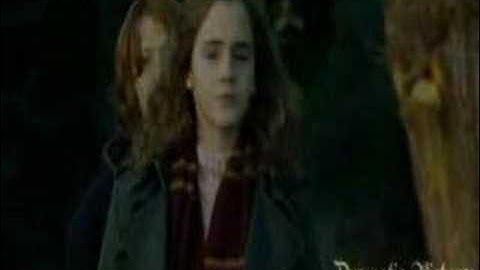 Harry&Hermione"I Gotta Go My Own Way"
