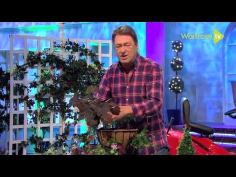 How to plant winter hanging baskets - Waitrose Garden