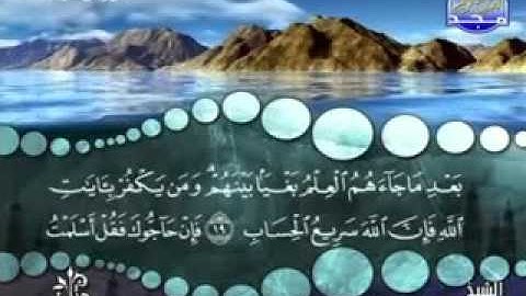 سورة آل عمران آية 19