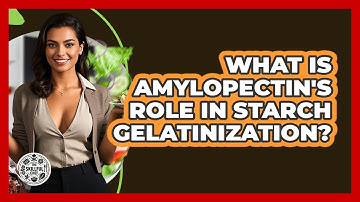 What Is Amylopectin