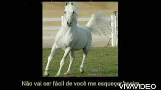 Vai Porque Querzé Vaqueiro. Video Pra Status De Vaquejada