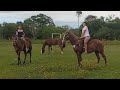 UMA TARDE DE CAVALGADA COM AS SOBRINHAS E MOSTRANDO AS OVELHAS