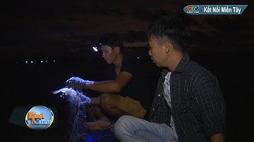 ĐÊM SĂN CÁ VỒ CHÓ Ở ĐẦM THỊ TƯỜNG