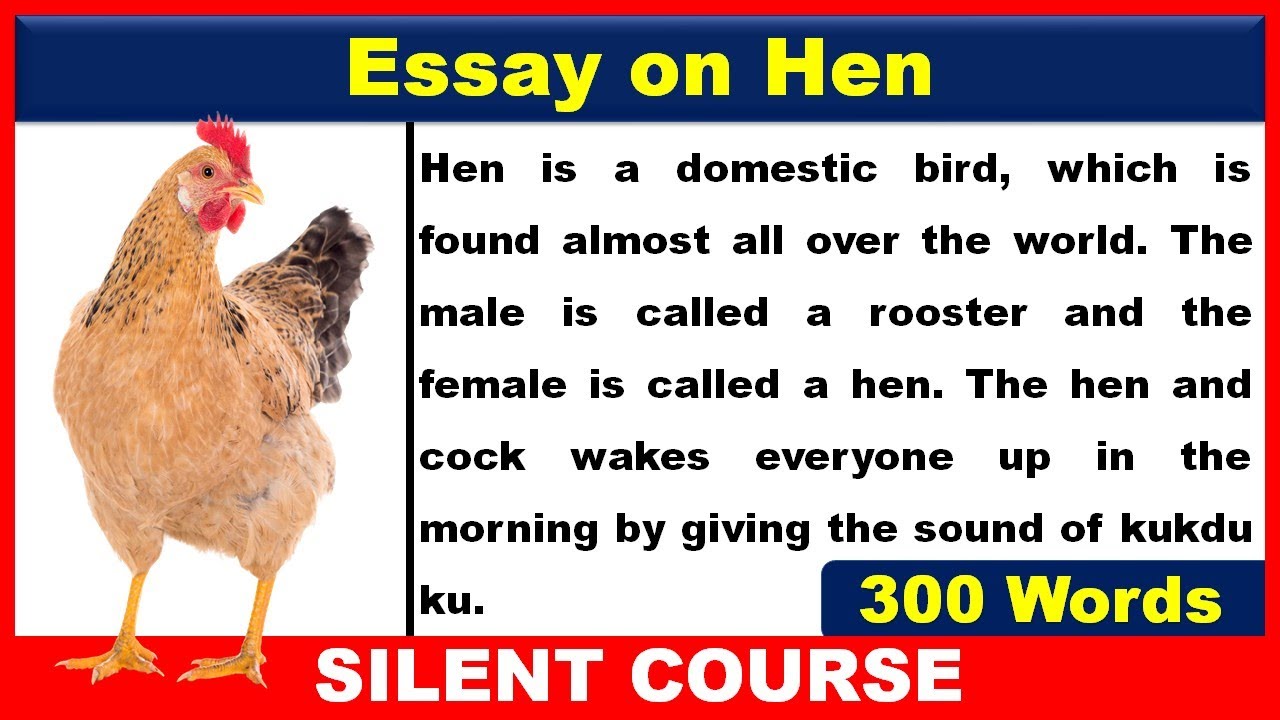 essay on my pet hen