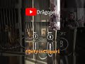 Copycat (Demo Version) | Un joc drăguț despre adoptarea unei pisicuțe #shorts