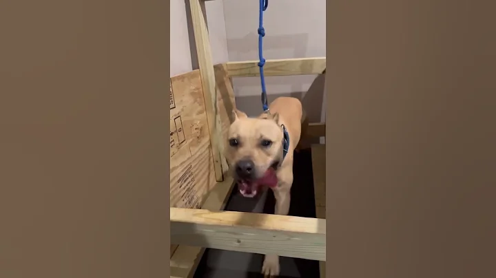 Freemason's Wrangler