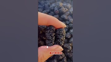 Bạn biết công dụng tuyệt vời của Dâu Tằm Khô chưa?