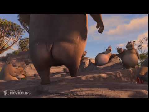 Madagascar 2 Moto Moto S Butt Youtube