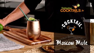Cocktail vodka - Comment faire un Moscow Mule ? Resimi