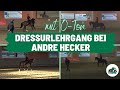 Dressurreiten mit Andre Hecker 🐎