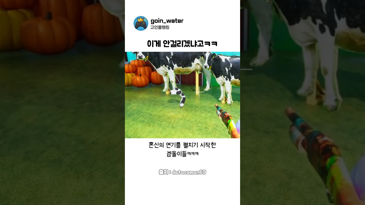 숨바꼭질 겜에서 벌어진 의문의 연기대결ㅋㅋ