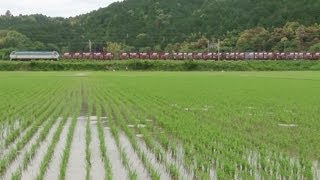 EF66-133　5073レ　2013.06.01　琵琶湖線