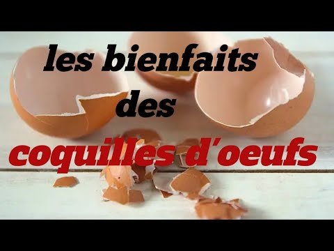 Vidéo: Quels Sont Les Avantages De La Coquille D'œuf