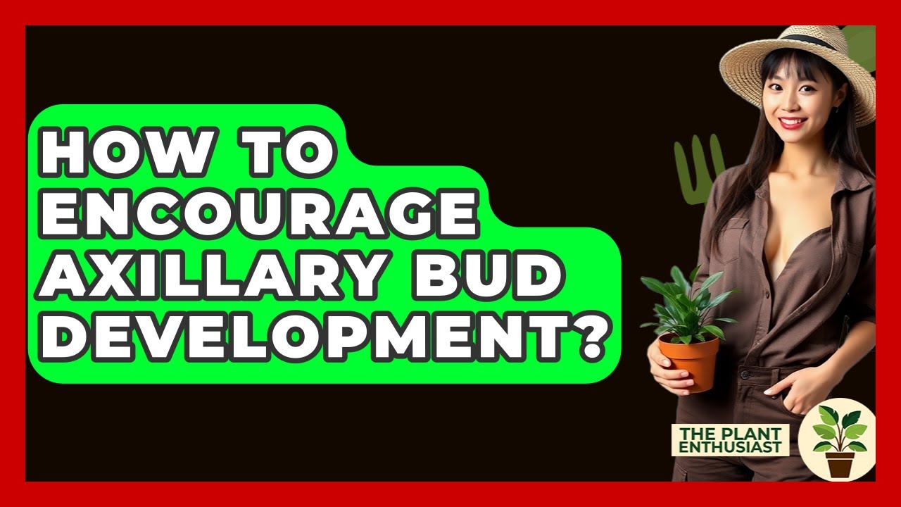 How To Encourage Axillary Bud Development? - The Plant Enthusiast