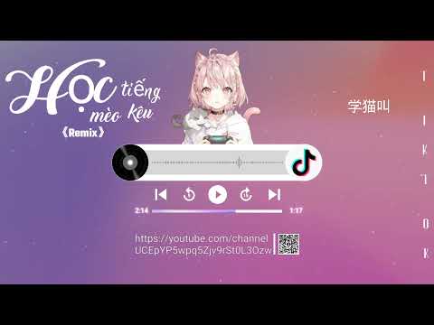 Video Học Tiếng Mèo Kêu 2022 《Remix》 ||「學貓叫」|| TVT || Hot... - YouTube