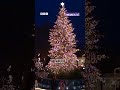 🎉Christmas Lights Switch-On 2025 | Hayley Atwell at Covent Garden & Festive Displays | Newsround