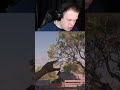 🤣 Hey bro-bro, Хорошая! 🤣 | Hunt Showdown #shorts