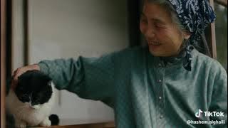 film: Hiroshima dan Nagasaki