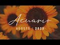 💜 Acuario Horóscopo Amor y Finanzas Agosto 2023 💜 Tarot interactivo ☀️