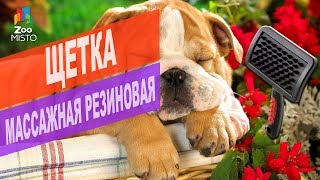 Щетка массажная резиновая для кошек и собак | Обзор щетки массажной резиновой для питомцев Щетка массажная резиновая для кошек и собак | Обзор щетки массажной резиновой для питомцев