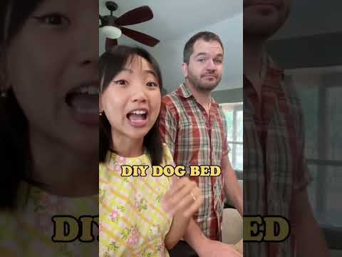 Video: 8 DIY Köpekler İçin Palet Yatakları