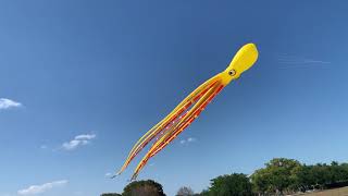 65’ Octopus and 12M Peter Lynn Pilot