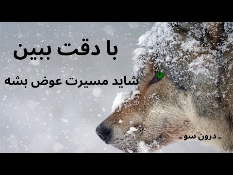 دنبال موفقیتی این ویدیو رو با دقت ببین 