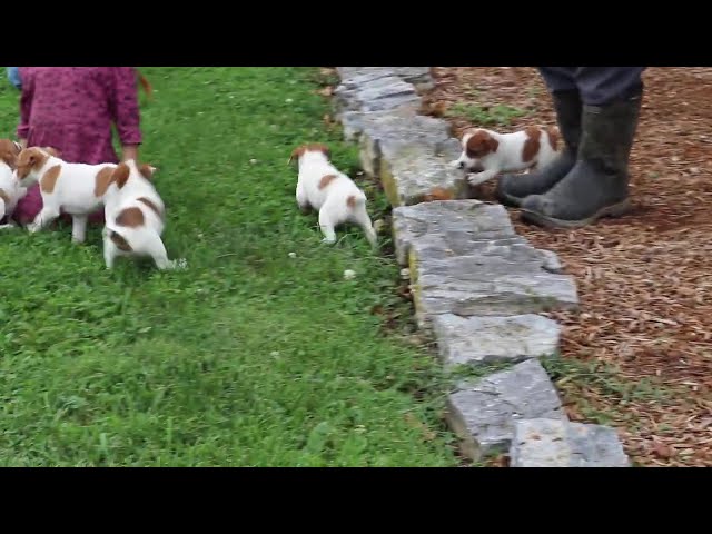 Charlie video thumbnail