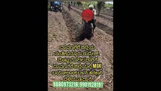 #mgkbiochar  #biochar #arecanut #agriculture