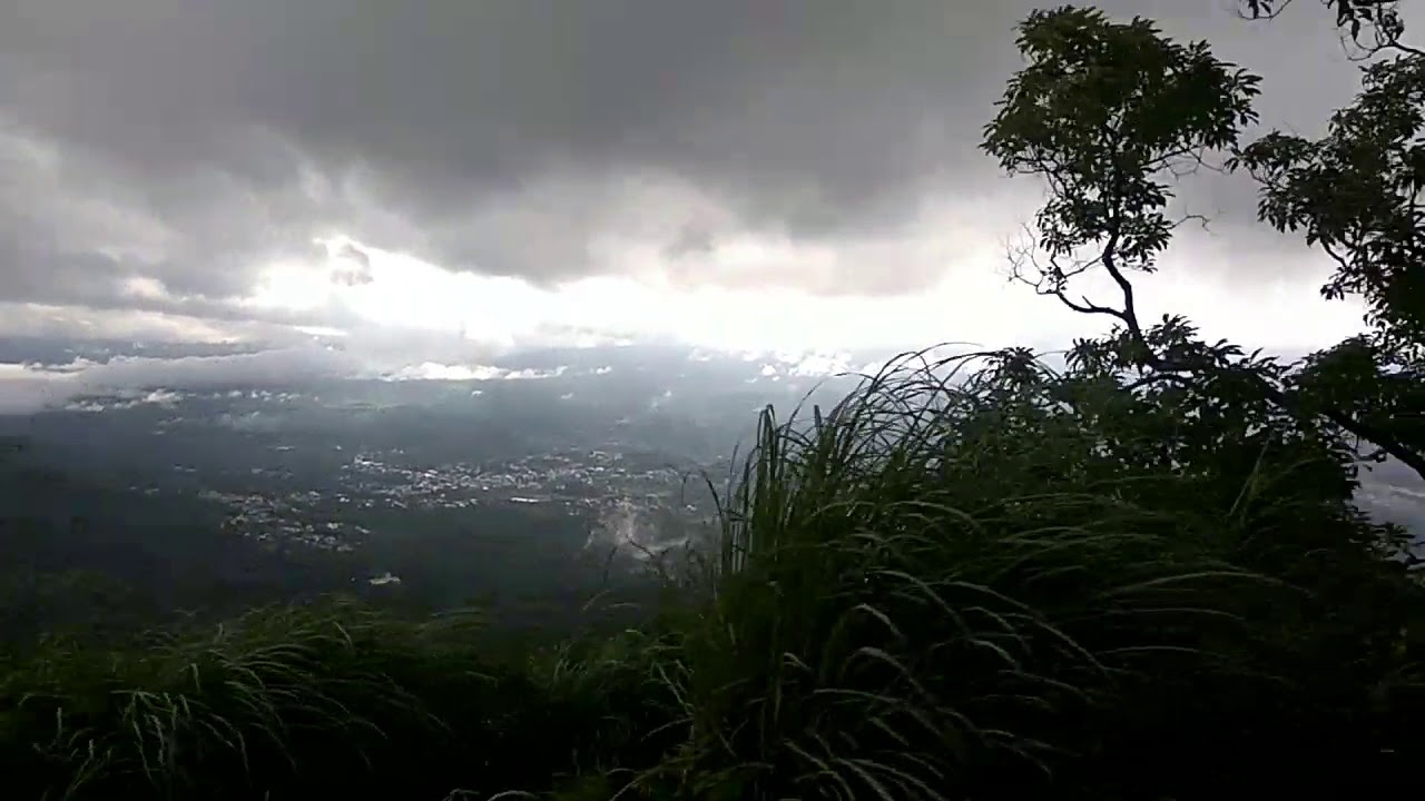 Tea plantation Nilgiri - YouTube