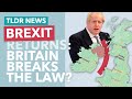Britain Scraps the Northern Ireland Protocol? - TLDR News