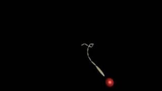 CS184 AS6 Inverse Kinematics Sequence 3 - Eleven limbs tracking random target