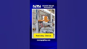 Tối Ưu Hóa Dây Chuyền: Gắp Bao Siêu Nhanh, Pallet Hàng Gọn Gàng