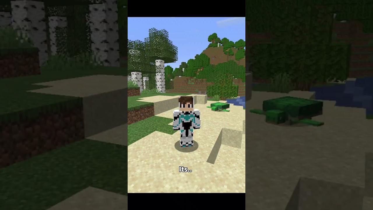The Greatest Minecraft SpeedRun...