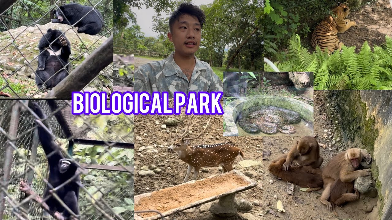 BIGGEST ZOO 🦍 🐆 IN NORTH EAST 🇮🇳?? || 😨 ITANAGAR ZOO FREE 🫢 ?? || PART- 1 || 