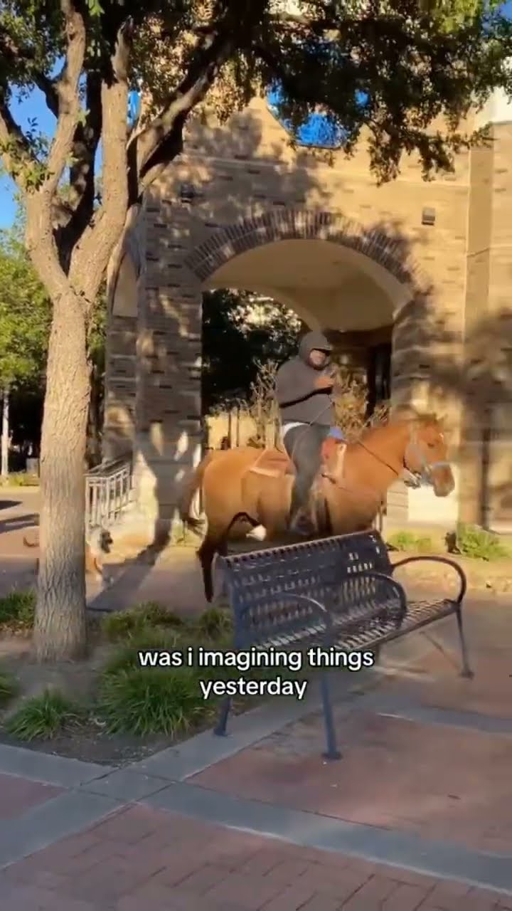 When they find prvnci and he riding thru on uhh big Kittyo