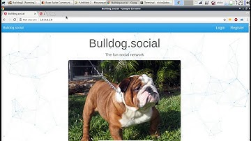 VulnHub: BullDog II Walkthrough