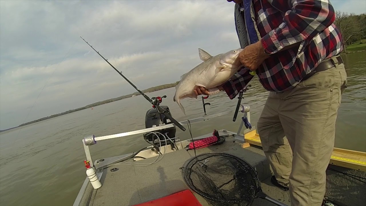 Catfishing on Old Hickory Lake March 27, 2020 YouTube